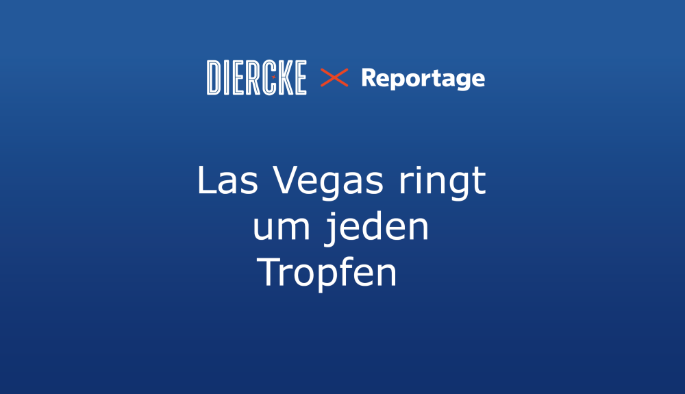 Diercke x auslandsjournal Teaser